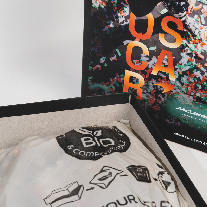 McLaren Formula 1® Team, Puzzle, Oscar Piastri, Erster Grand-Prix-Sieg, 1000 Teile