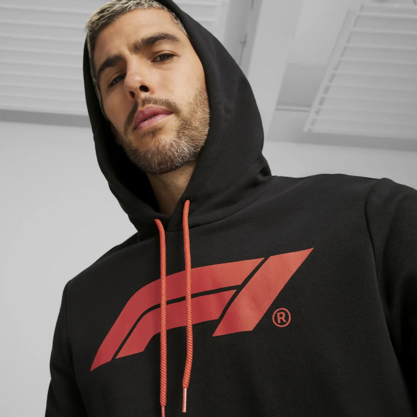 Formula 1 ESS Logo Hoodie 🔥