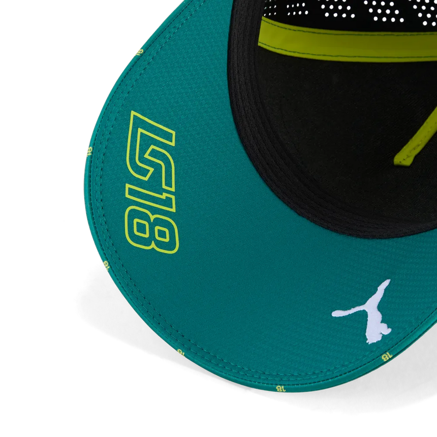 Aston Martin Kappe, Team, Lance Stroll, grün