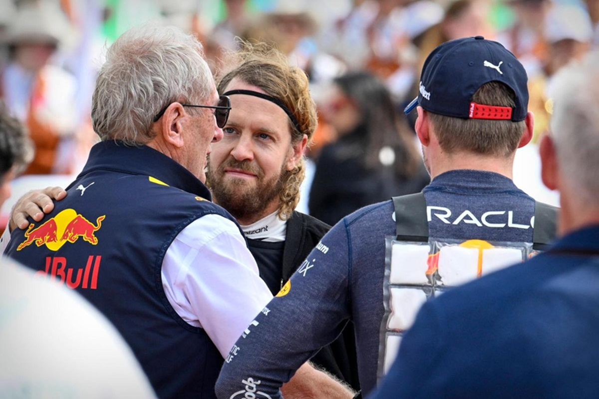 Vettel könnte der neue Marko sein