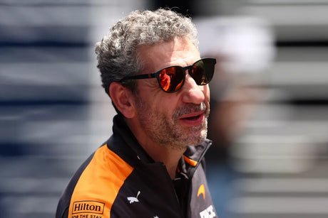Stella sieht Anpassungsschwierigkeiten bei Piastri und McLaren