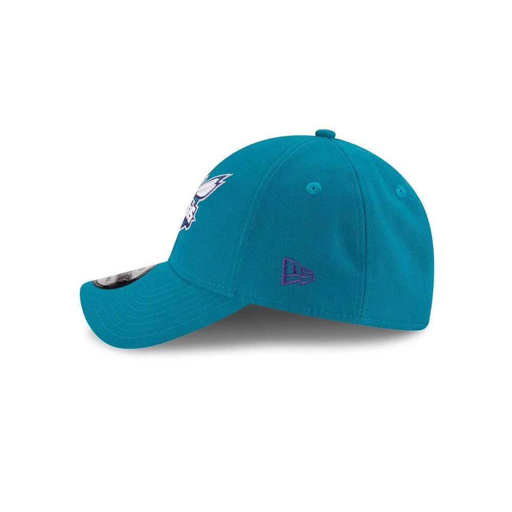 NBA Charlotte Hornets Team-Kappe