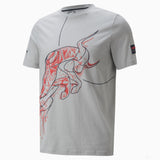 2022, Grau, Red Bull T-shirt - FansBRANDS®