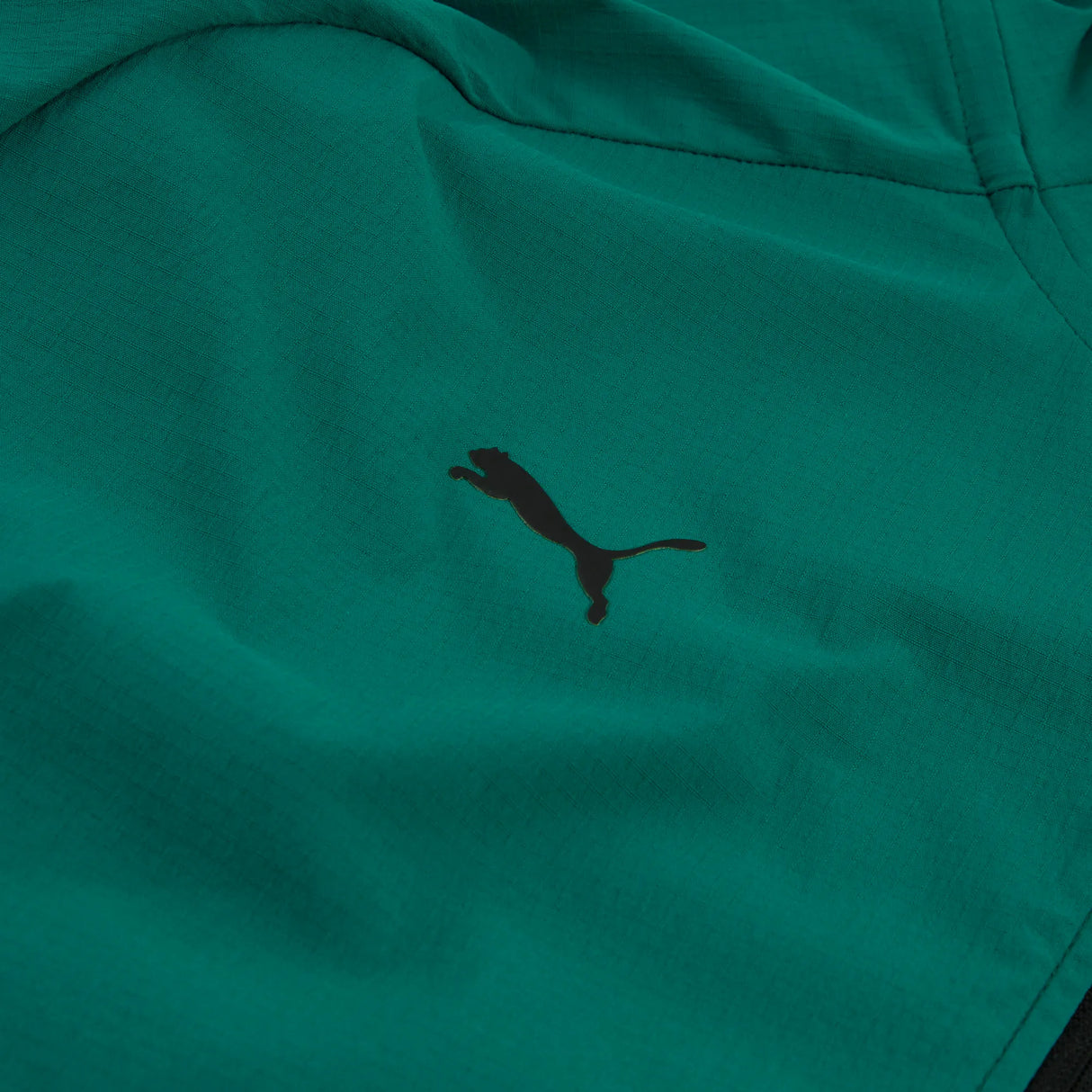 Aston Martin Jacke, Puma, Lifestyle, PUMATECH, grün 🔥