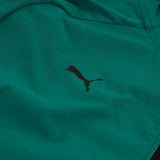 Aston Martin Jacke, Puma, Lifestyle, PUMATECH, grün 🔥