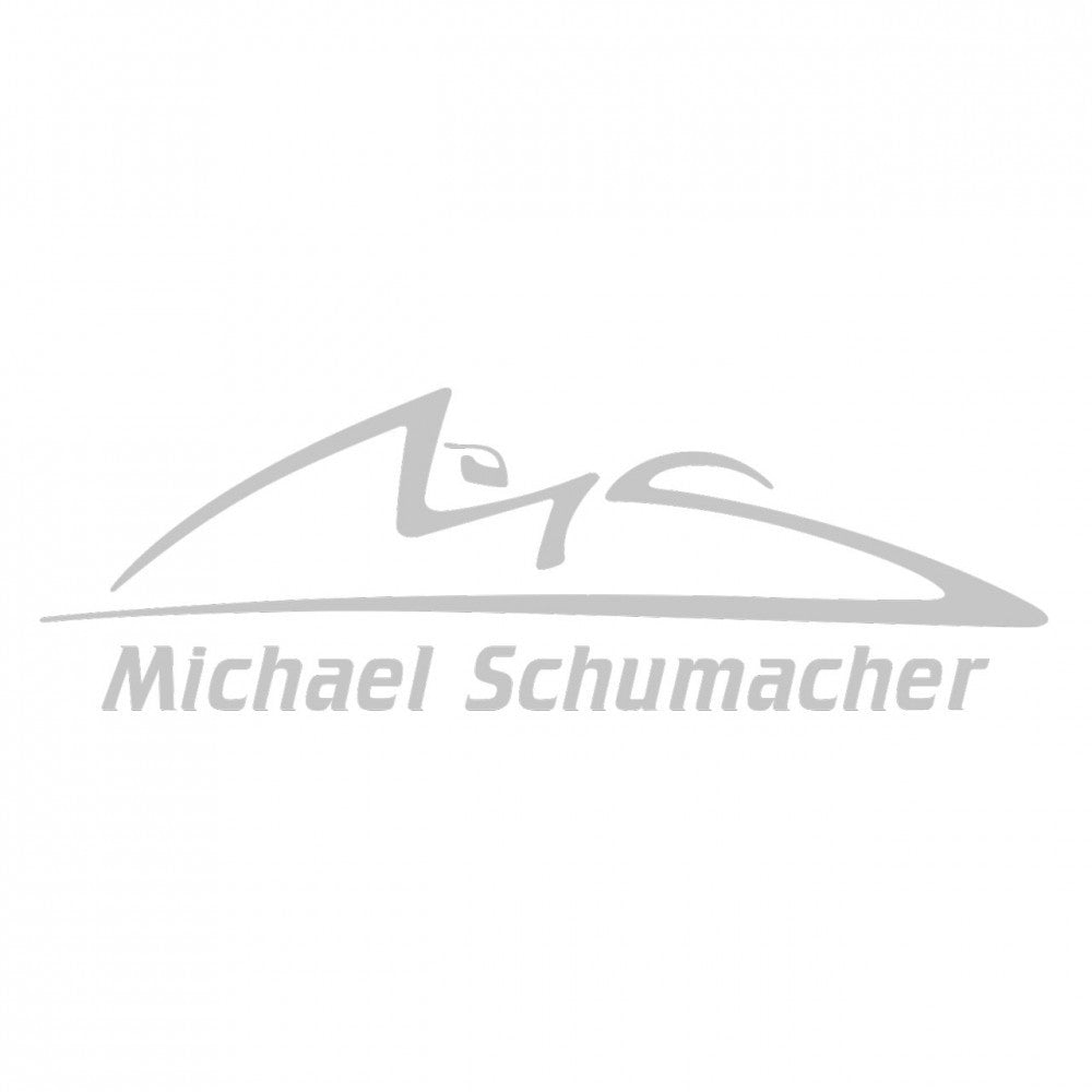 2015, Silber, Schumacher Logo Aufkleber