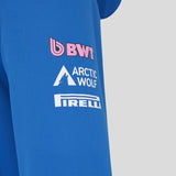 Alpine Hoodie, Team, Blau