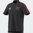 Audi Polo, DNA, adidas, grau