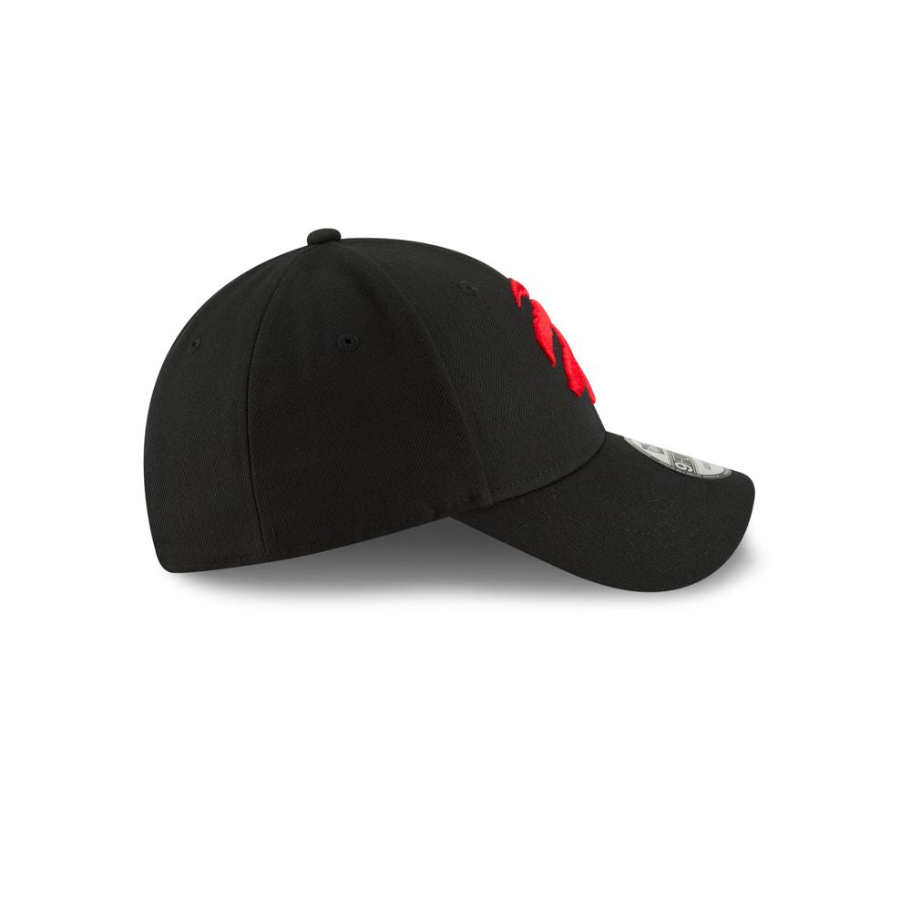 NBA Toronto Raptors Team-Kappe