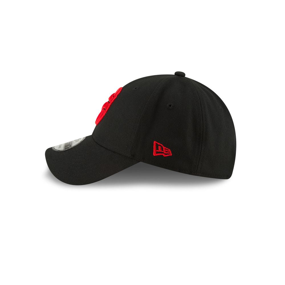NBA Toronto Raptors Team-Kappe