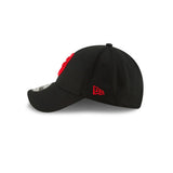 NBA Toronto Raptors Team-Kappe